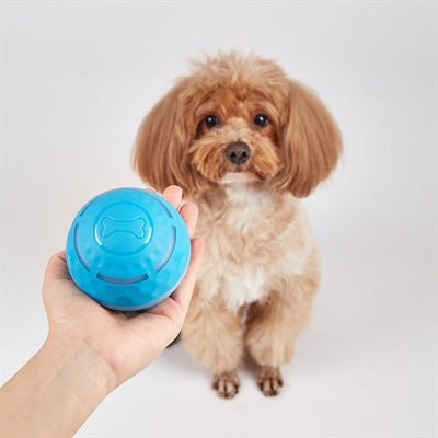 Fofos Rollball für Hunde wiederaufladbar