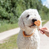 Trixie Premio Lolly mit Hühnchen und Reis