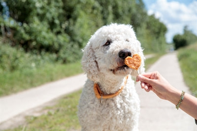 Trixie Premio Lolly mit Hühnchen und Reis