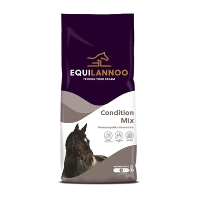Gleichgewichtsoo -Gleichgewichts -Equilannoo -Zustandsmischung