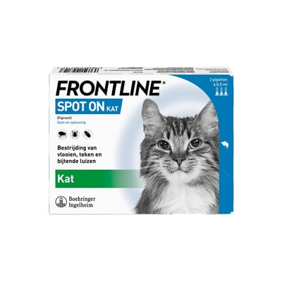 Frontline Kat Spot auf