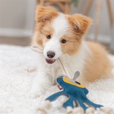 Trixie -Monsterleder mit Seil