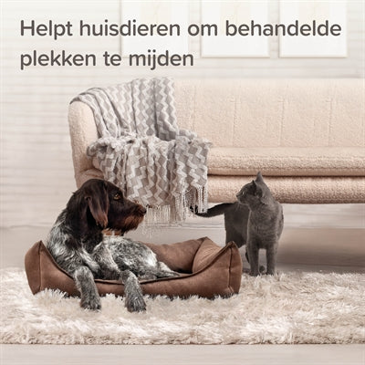 Beaphar hält sich von Spray Cat Dog im Innenbereich aus