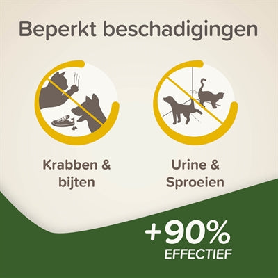 Beaphar hält sich von Spray Cat Dog im Innenbereich aus
