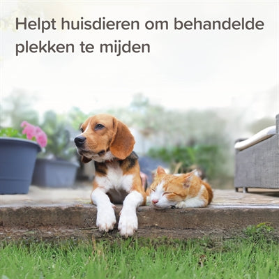 Beaphar haltet Granulate Cat Dog fern