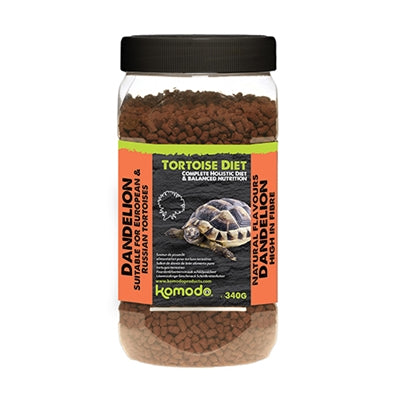 Komodo -Futterschildkröten -Löwenzahn