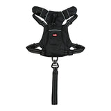 Zolux Easyride Hund Eard Schwarz - afbeelding 3