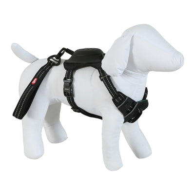 Zolux Easyride Hund Eard Schwarz