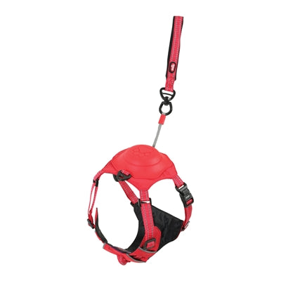 Zolux Easyride Hund Eard Red rot
