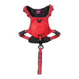 Zolux Easyride Hund Eard Red rot - afbeelding 2