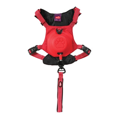 Zolux Easyride Hund Eard Red rot