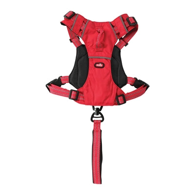 Zolux Easyride Hund Eard Red rot