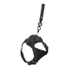 Zolux Easyride Hund Eard Schwarz