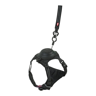 Zolux Easyride Hund Eard Schwarz