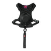 Zolux Easyride Hund Eard Schwarz