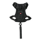 Zolux Easyride Hund Eard Schwarz - afbeelding 3