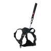 Zolux Easyride Hund Eard Schwarz