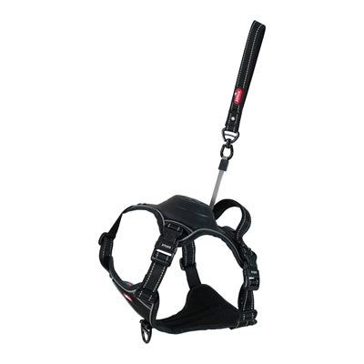 Zolux Easyride Hund Eard Schwarz
