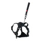 Zolux Easyride Hund Eard Schwarz