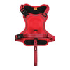 Zolux Easyride Hund Eard Red rot