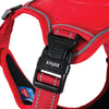 Zolux Easyride Hund Eard Red rot