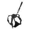 Zolux Easyride Hund Eard Schwarz
