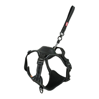 Zolux Easyride Hund Eard Schwarz