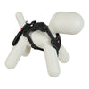 Zolux Easyride Hund Eard Schwarz