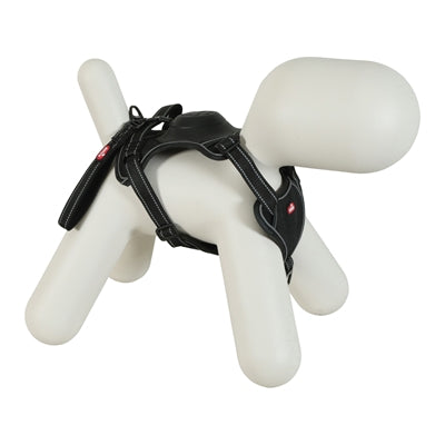 Zolux Easyride Hund Eard Schwarz