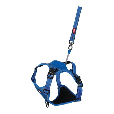 Zolux Easyride Dog Hardle Blau