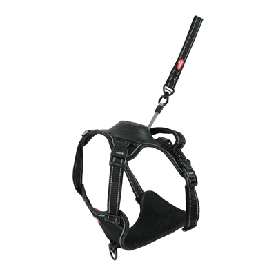Zolux Easyride Hund Eard Schwarz