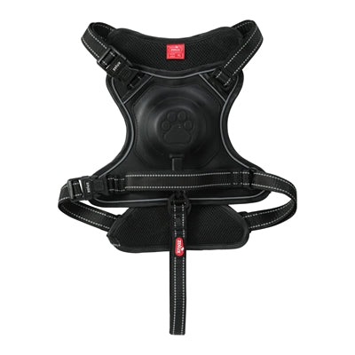 Zolux Easyride Hund Eard Schwarz