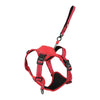 Zolux Easyride Hund Eard Red rot