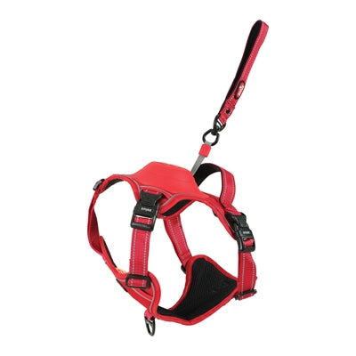 Zolux Easyride Hund Eard Red rot