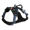 Zolux Bvk Hund Tuard Blue