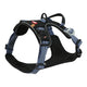 Zolux Bvk Hund Tuard Blue