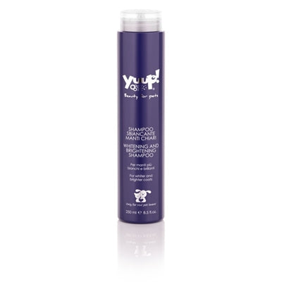 Yuup! Shampoo aufweichen und aufhellen