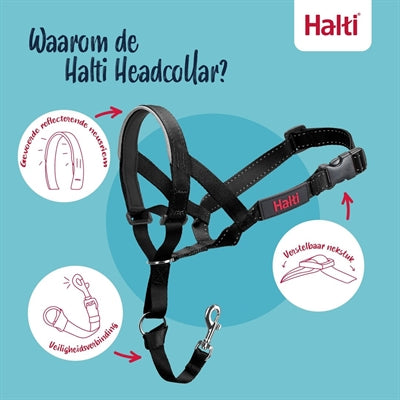 Die Firma der Tiere Kompanie der Tiere Halti Headcollar Black