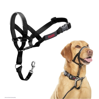 Die Firma der Tiere Kompanie der Tiere Halti Headcollar Black