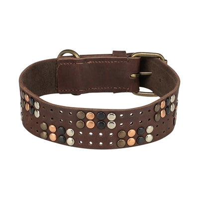 Trixie Kragenhund Rivet Rustikalfettes Leder dunkelbraun