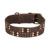 Trixie Kragenhund Rivet Rustikalfettes Leder dunkelbraun