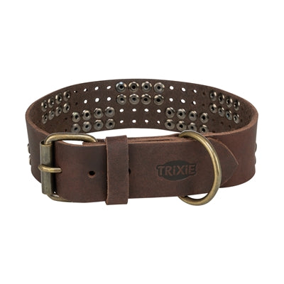 Trixie Kragenhund Rivet Rustikalfettes Leder dunkelbraun
