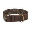 Trixie Kragenhund Rivet Rustikalfettes Leder dunkelbraun