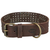 Trixie Kragenhund Rivet Rustikalfettes Leder dunkelbraun