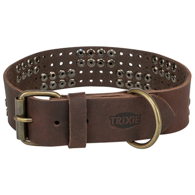 Trixie Kragenhund Rivet Rustikalfettes Leder dunkelbraun