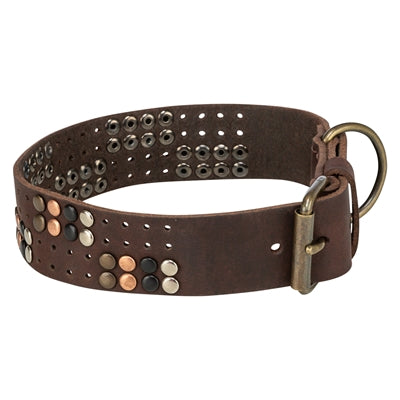Trixie Kragenhund Rivet Rustikalfettes Leder dunkelbraun