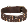 Trixie Kragenhund Rivet Rustikalfettes Leder dunkelbraun