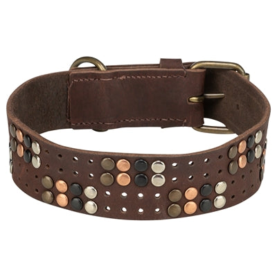 Trixie Kragenhund Rivet Rustikalfettes Leder dunkelbraun