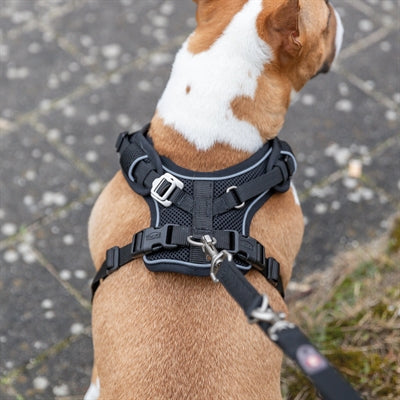 Trixie Dog Harm Premium flexmesh breite Brustschwarz