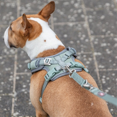 Trixie Hund härtere Premium flexmesh breite Brust Saliegroen